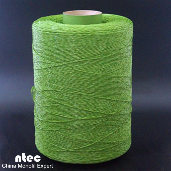 Fil d’herbe droite PE